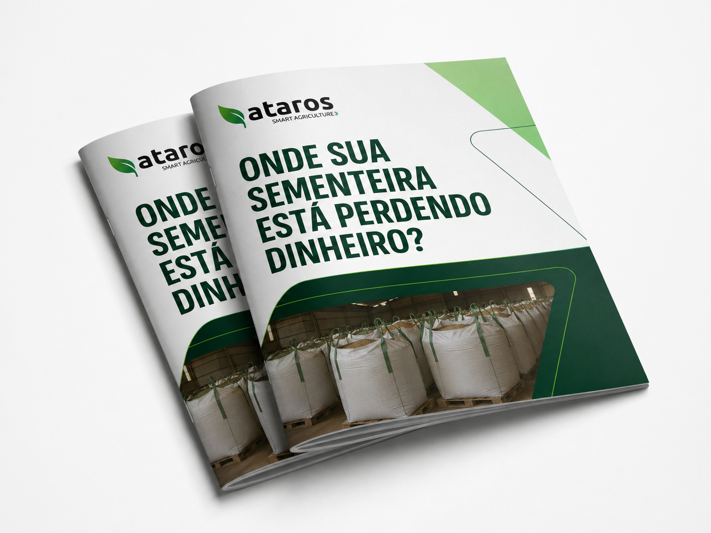 Guia ATAROS · Onde sua sementeira está perdendo dinheiro